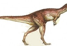 Цератозавр («рогатий ящір»)