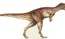Цератозавр («рогатий ящір»)